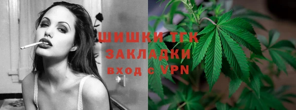 прущие грибы Медвежьегорск