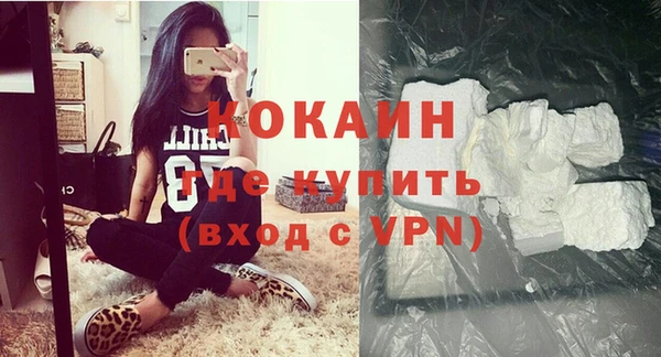 прущие грибы Медвежьегорск