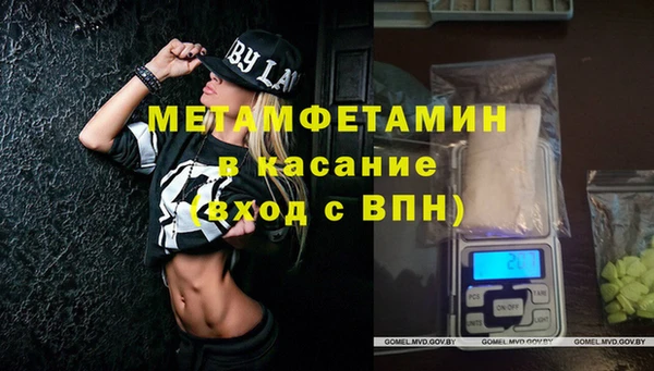 прущие грибы Медвежьегорск