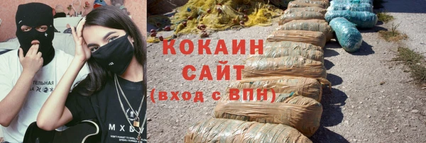 гашик Магас