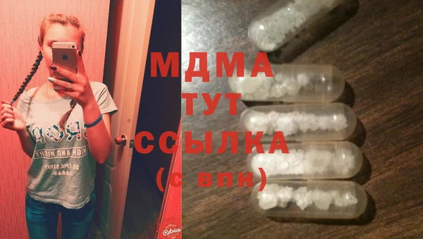 прущие грибы Медвежьегорск