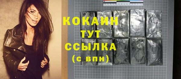 прущие грибы Медвежьегорск